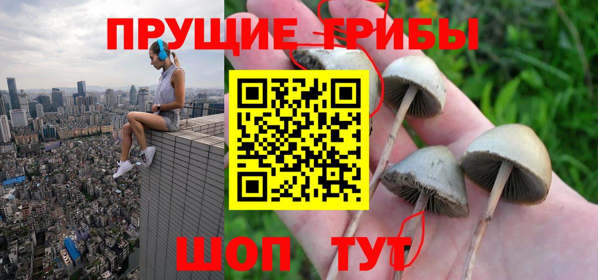 Камышлов  как найти закладки  Вход с VPN  Галлюциногенные грибы ЛСД 